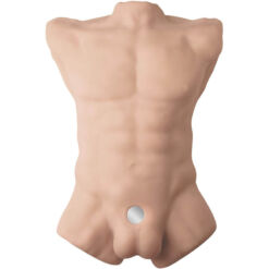 Alternative view of SILEXD - APOLLO L TORSO REALÍSTICO MASCULINO
