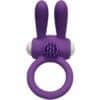 ARMONY - MR BUNNY ANILLO VIBRADOR SILICONA PURPLE - piKanteo | Despierta tu lado más piKante