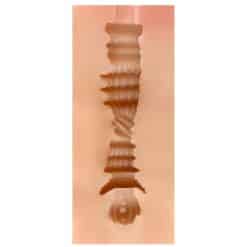 SHEQU - PAMELA MASTURBADOR VAGINA - piKanteo | Despierta tu lado más piKante