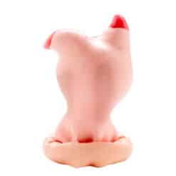 CONDOMERIE - PRESERVATIVO DECORATIVO PINTADO A MANO CABEZA DE CERDO - piKanteo | Despierta tu lado más piKante