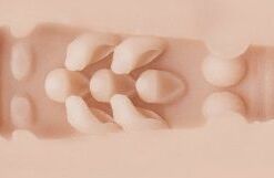 FLESHLIGHT GIRLS - VAGINA STOYA DESTROYA - piKanteo | Despierta tu lado más piKante