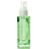 FLESHLIGHT - LIMPIADOR DE JUGUETES WASH 100 ML - piKanteo | Despierta tu lado más piKante