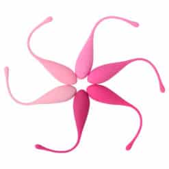 Alternative view of LESLIE - KEGEL FIT ENTREGADOR SUELO PELVICO 6 PESOS