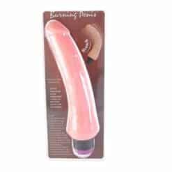 BAILE - VIBRADOR REALÍSTICO 19.5 CM - piKanteo | Despierta tu lado más piKante