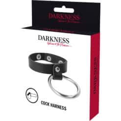 DARKNESS - ANILLO DE METAL PARA EL PENE Y TESTÍCULOS - piKanteo | Despierta tu lado más piKante