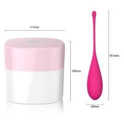 Comprar LESLIE - KEGEL FIT ENTREGADOR SUELO PELVICO 6 PESOS al mejor precio - Envíos Discretos