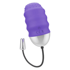 Comprar MR BOSS - DENIS HUEVO CONTROL REMOTO al mejor precio - Envíos Discretos