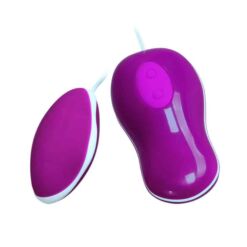 Comprar PRETTY LOVE - FLIRTATION HUEVO VIBRADOR CON CONTROL REMOTO AVERY al mejor precio - Envíos Discretos
