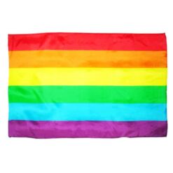 Comprar PRIDE - BANDERA GRANDE LGBT al mejor precio - Envíos Discretos