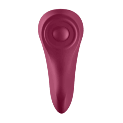 Comprar SATISFYER - SEXY SECRET PANTY al mejor precio - Envíos Discretos