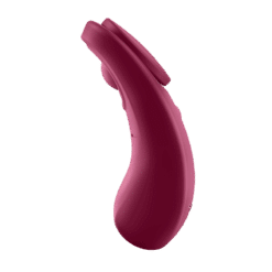 Comprar SATISFYER - SEXY SECRET PANTY al mejor precio - Envíos Discretos