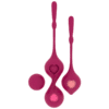 Comprar SET DEVA RITUAL ENTRENAMIENTO PELVICO ORQUIDEA al mejor precio - Envíos Discretos