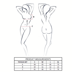 Comprar PASSION - TIVOLEA SET SUJETADOR + TANGA VIOLETA L/XL al mejor precio - Envíos Discretos